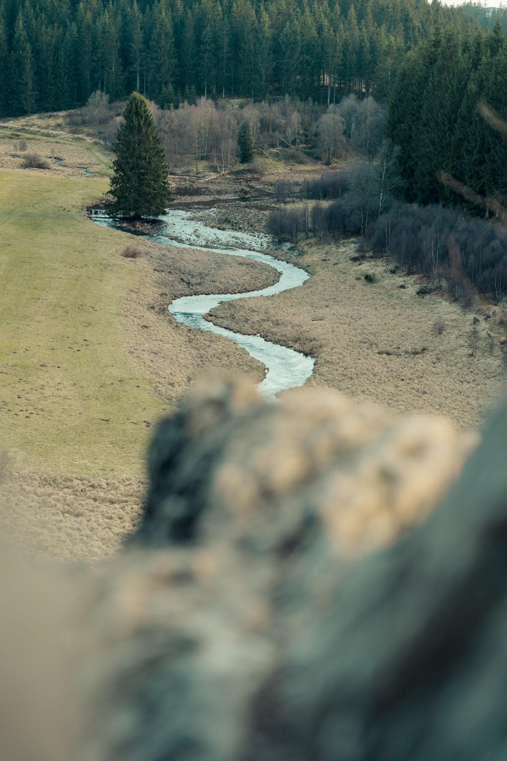 Riviere traversant une foret en Belgique